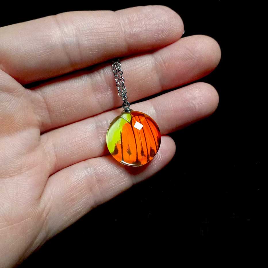 hebomoia glaucippe butterfly wing necklace on hand