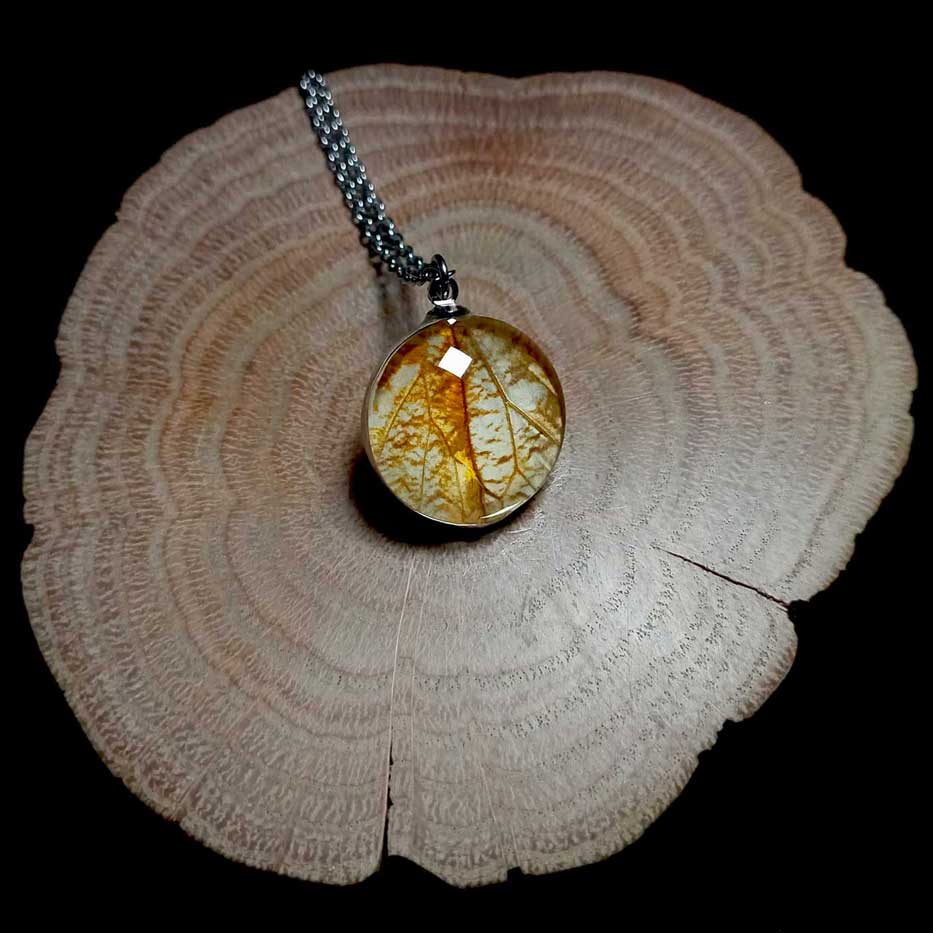 hebomoia glaucippe glass lens butterfly wing necklace underside