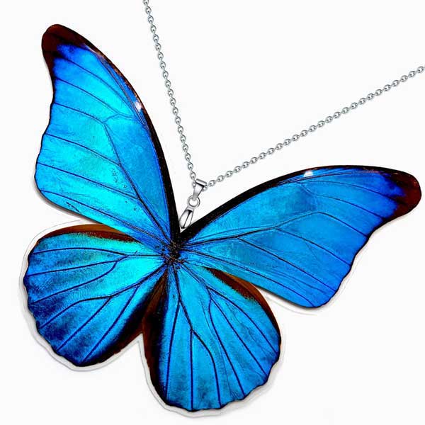 morpho rhetenor butterfly wing necklace