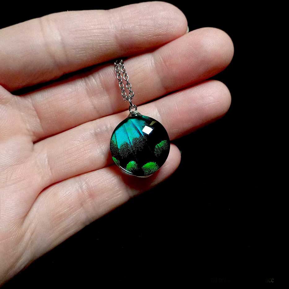Collana con vera ala di farfalla Papilio lorquinianus mostrata sulla mano con ciondolo verde mare di farfalla macaone