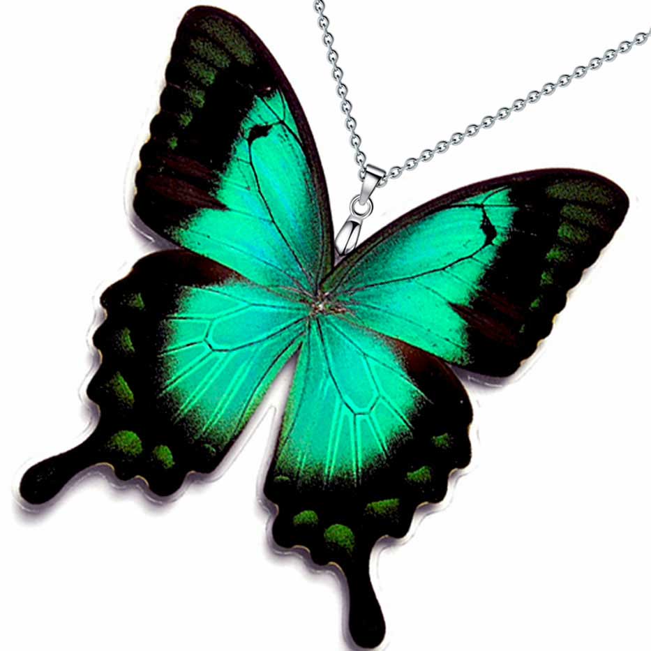 Farfalla Papilio lorquinianus che apre le sue ali verde mare con bordi neri, rara farfalla macaone simbolo di armonia e rinnovamento