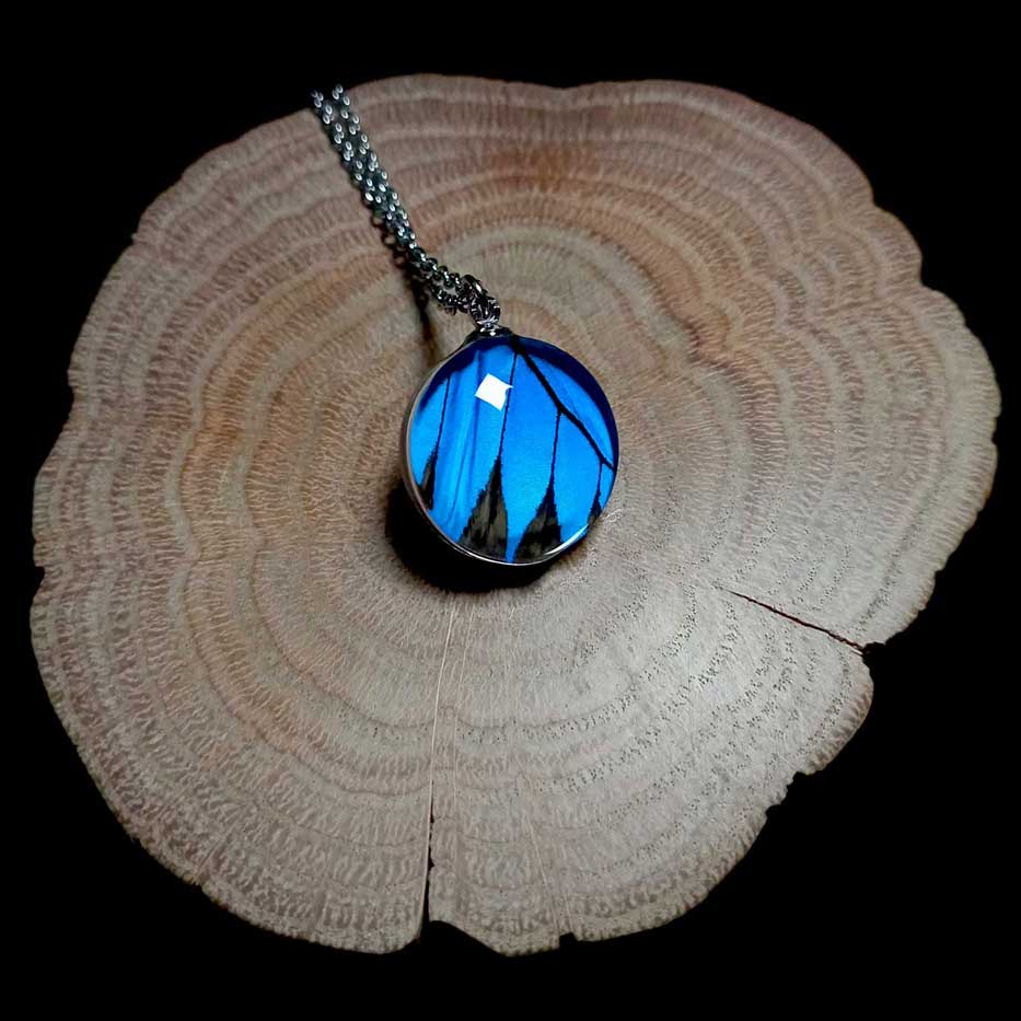 Collana Papilio ulysses con lente rotonda in vetro che mostra una vibrante ala di farfalla macaone blu elettrico trasformata in gioiello