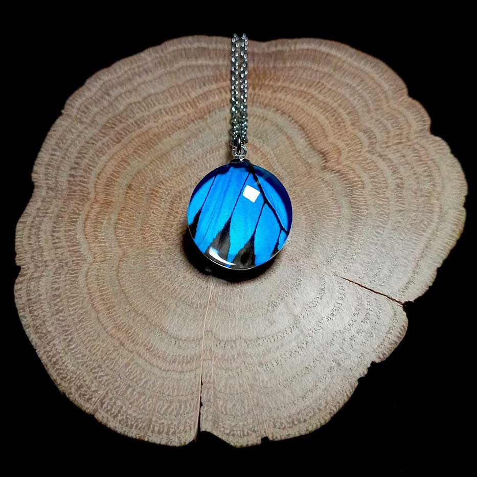 Collana con vera ala di farfalla Papilio ulysses con ala di farfalla macaone blu elettrico conservata sotto lente di vetro, gioiello naturale fatto a mano