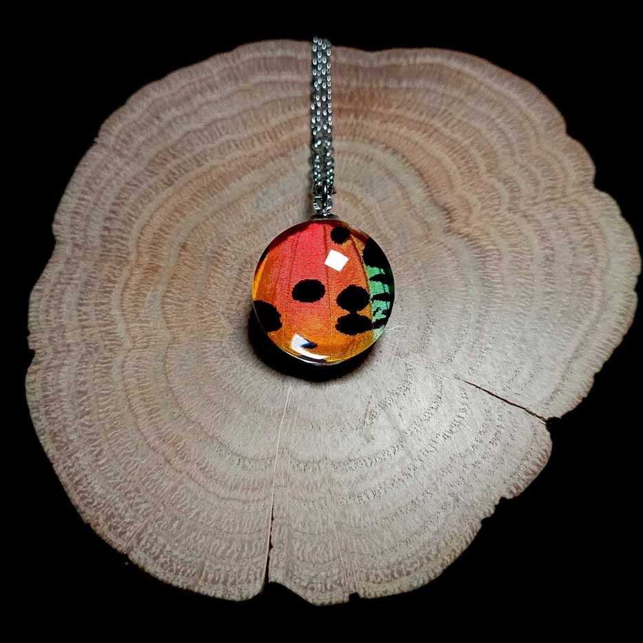 Primo piano della collana con ala di Urania ripheus (farfalla del tramonto del Madagascar), colori iridescenti preservati in un ciondolo fatto a mano