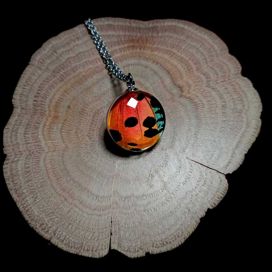 Collana artigianale con ala di Urania ripheus sotto lente di vetro rotonda, colori iridescenti brillanti