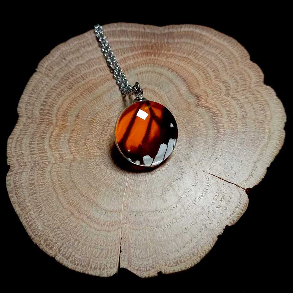 Collana con ala di farfalla Danaus genutia con lente rotonda in vetro che mostra un’ala arancione e nera di farfalla tigre comune