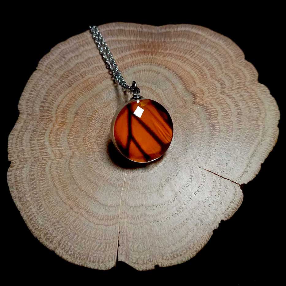 Collana con ala di farfalla Danaus plexippus con lente rotonda in vetro che mostra un’ala arancione e nera di farfalla monarca