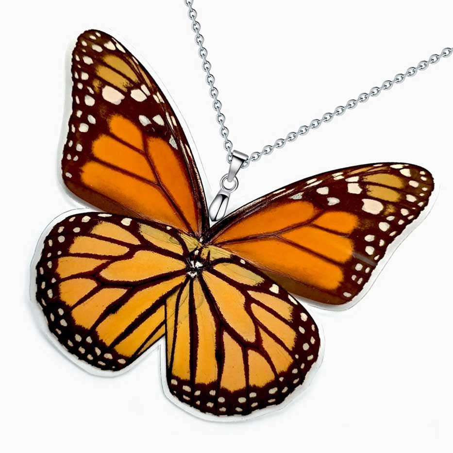 Farfalla monarca Danaus plexippus con ali arancioni brillanti e nere, simbolo di migrazione e trasformazione