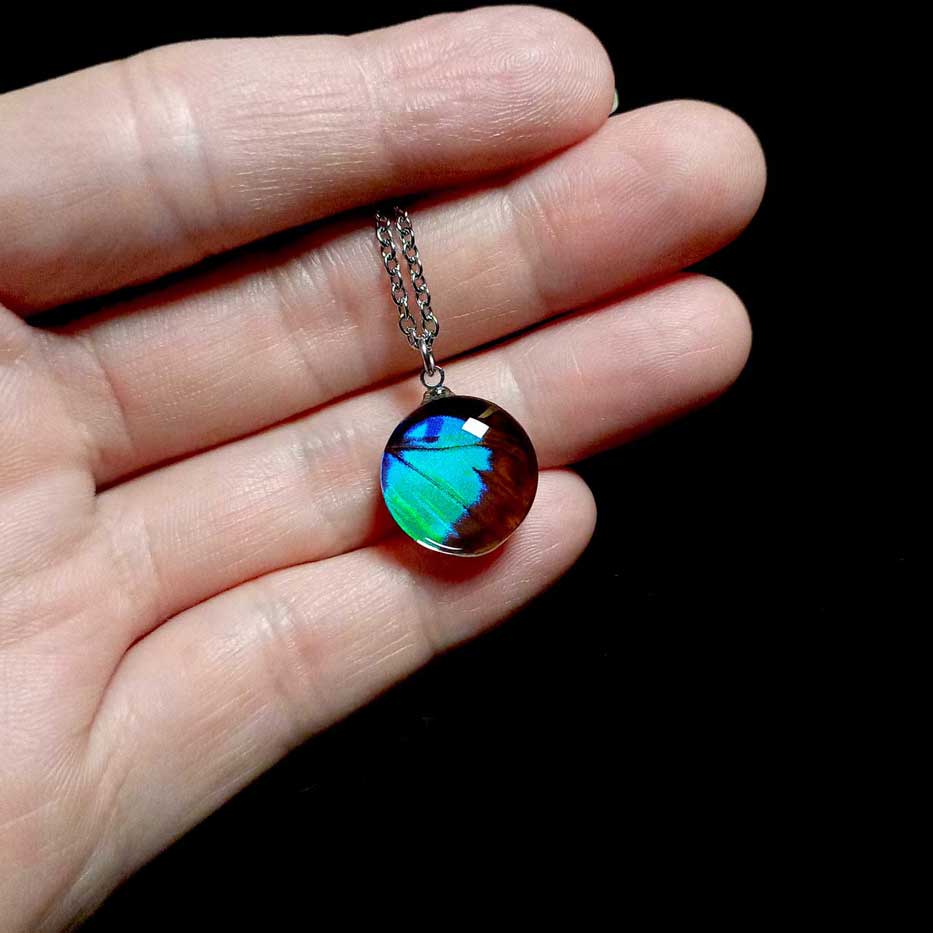 Collana con vera ala di farfalla Doxocopa cherubina mostrata sulla mano con ciondolo con ala di farfalla imperatore turchese
