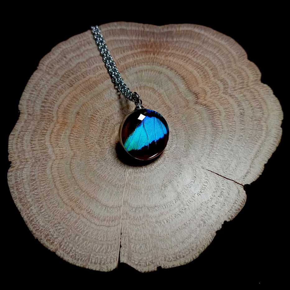 Collana con ala di farfalla Doxocopa cherubina sotto lente rotonda di vetro che mostra ala di farfalla imperatore turchese