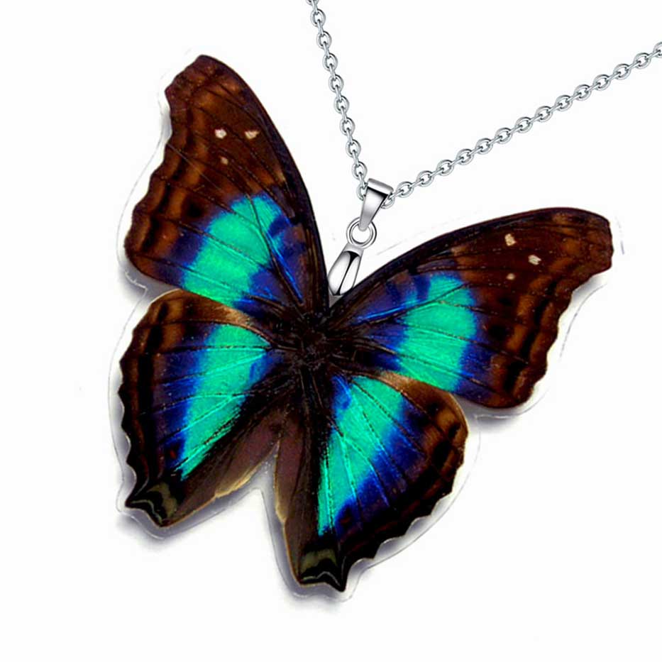 Farfalla Doxocopa cherubina imperatore turchese che apre ali blu turchese metallizzate nella foresta tropicale