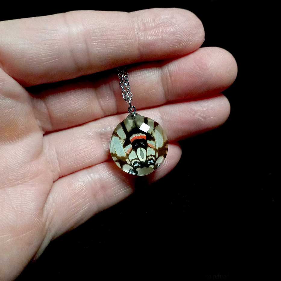 eurytides agesilaus butterfly wing necklace on hand