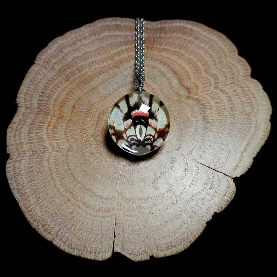 eurytides agesilaus real butterfly wing necklace