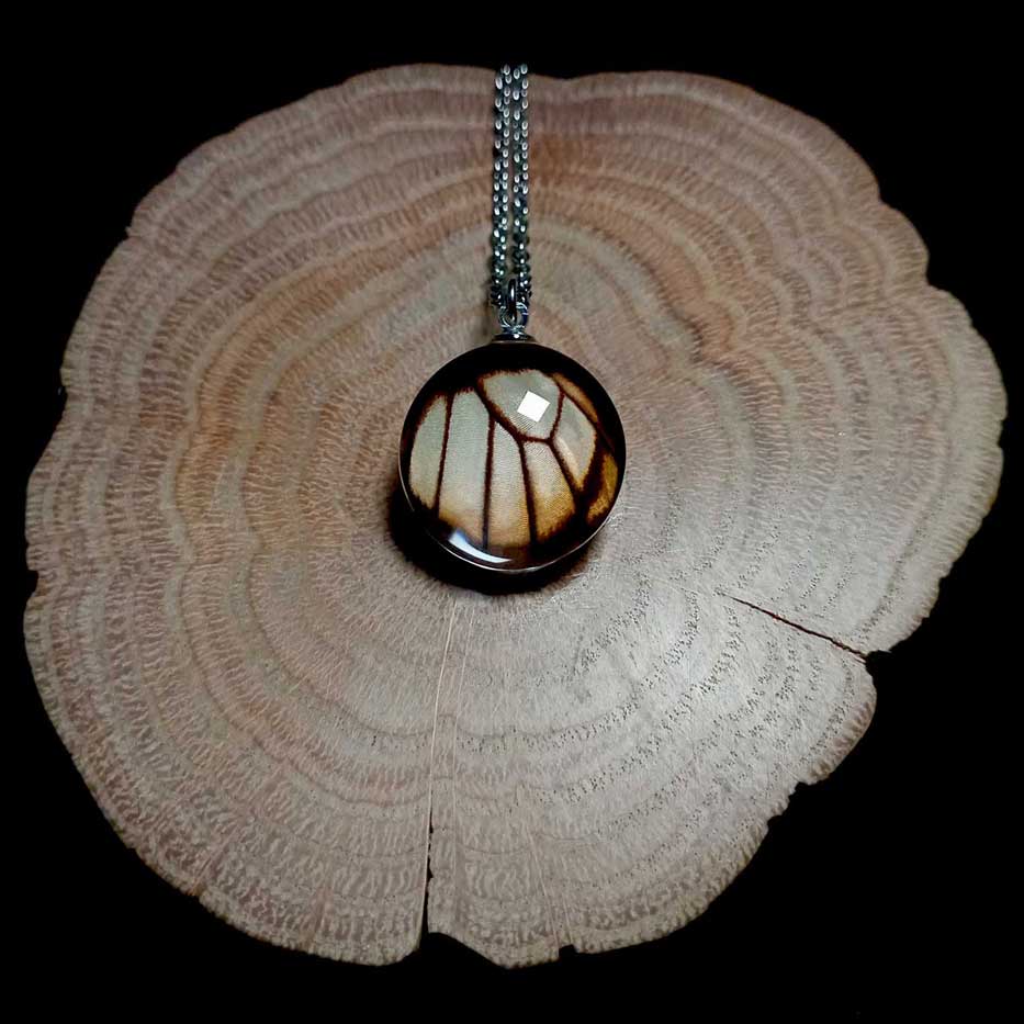 eurytides dolicaon handmade real butterfly wing necklace