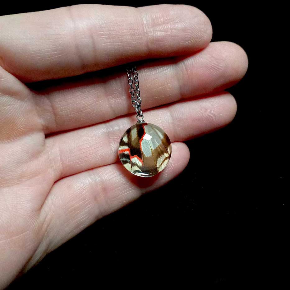 eurytides protesilaus butterfly wing necklace on hand