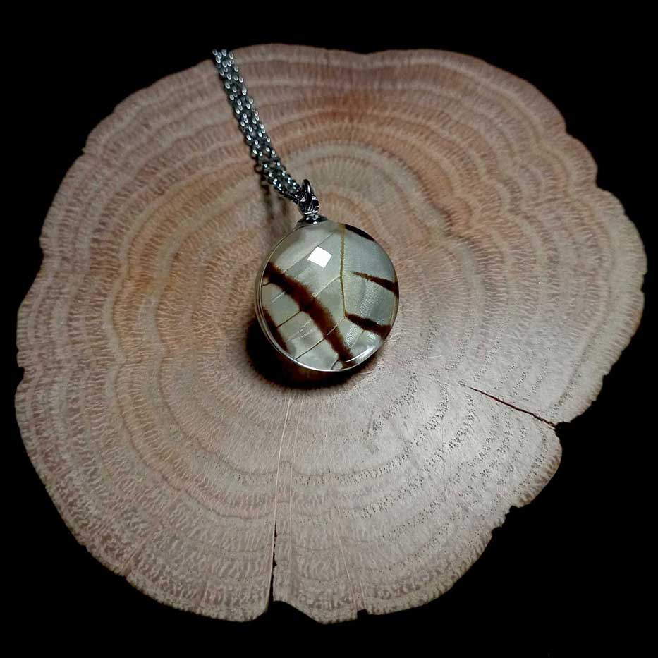 eurytides protesilaus glass lens butterfly wing necklace