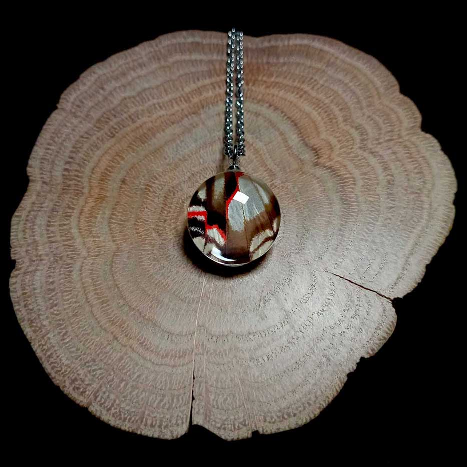 eurytides protesilaus real butterfly wing necklace