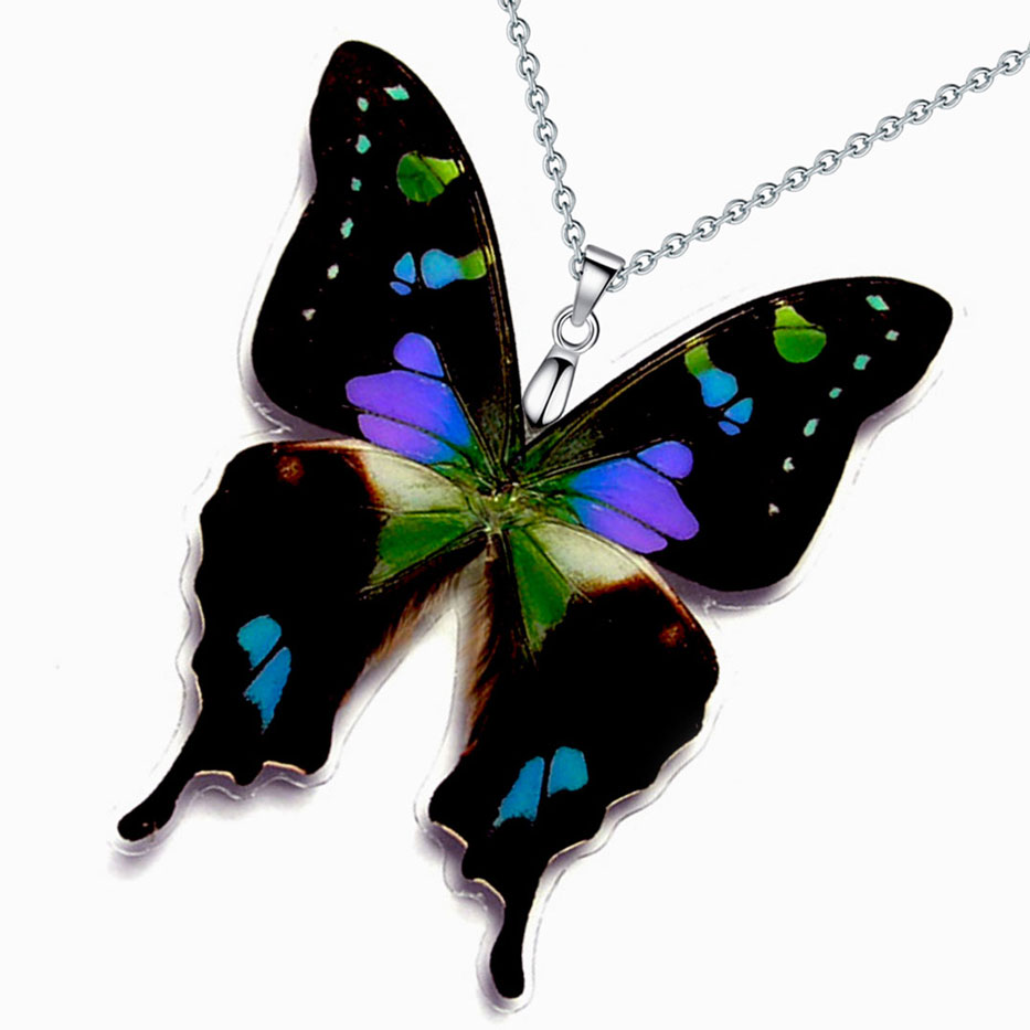 Farfalla Graphium weiskei che apre le sue ali nere con macchie viola, rara farfalla macaone proveniente dalla Nuova Guinea