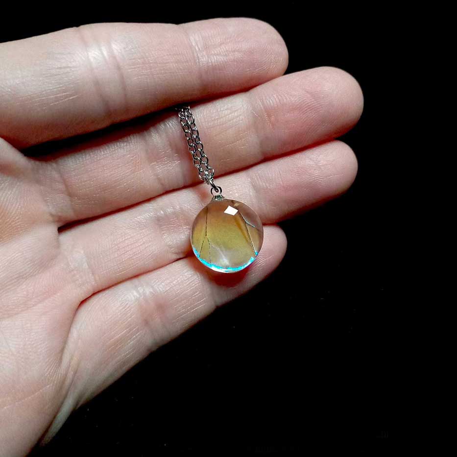 Collana vera ala di farfalla Morpho sulkowskyi mostrata sulla mano, ala blu-bianca olografica sotto vetro