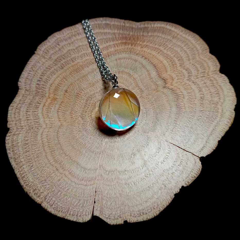 Ala di farfalla Morpho sulkowskyi conservata in pendente rotondo in vetro, collana iridescente della foresta nebulosa