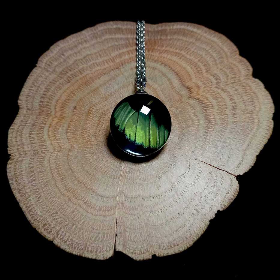 panacea prola real butterfly wing necklace