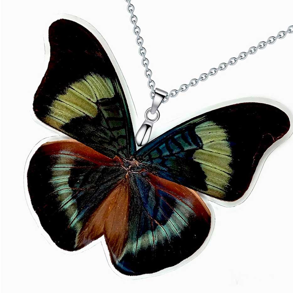 panacea prola red flasher butterfly wings