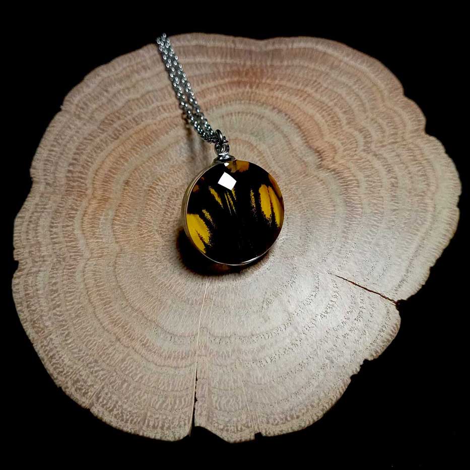 papilio androgeus glass lens butterfly wing necklace