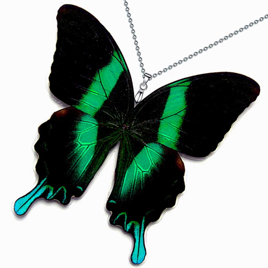 Farfalla Papilio blumei con ali verde metallico iridescente e motivo scuro, ispirazione per collana con vera ala di farfalla
