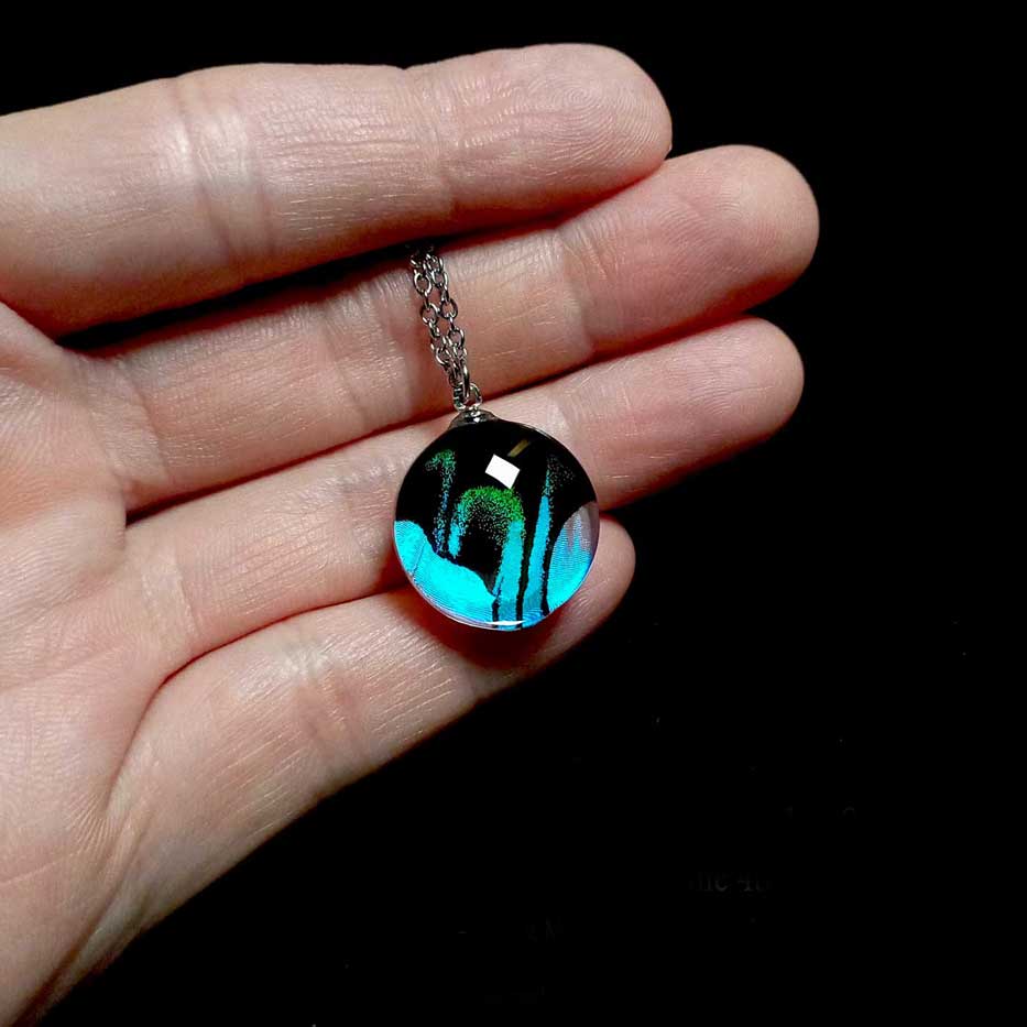 Collana reale con ala di farfalla Papilio blumei mostrata sulla mano, ala verde iridescente pavone sotto vetro