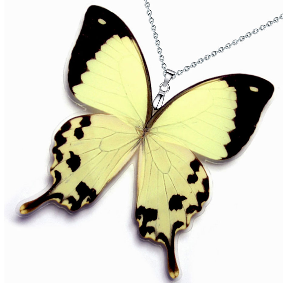 papilio dardanus african mocker swallowtail butterfly wings