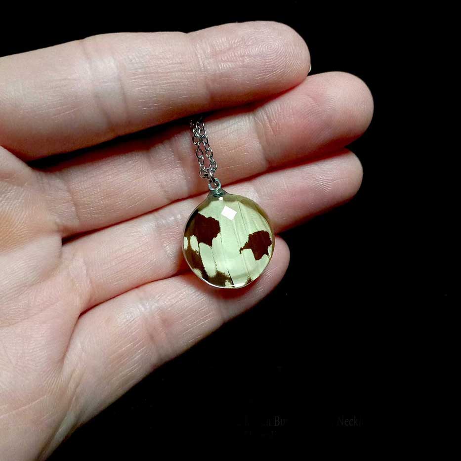 papilio dardanus butterfly wing necklace on hand