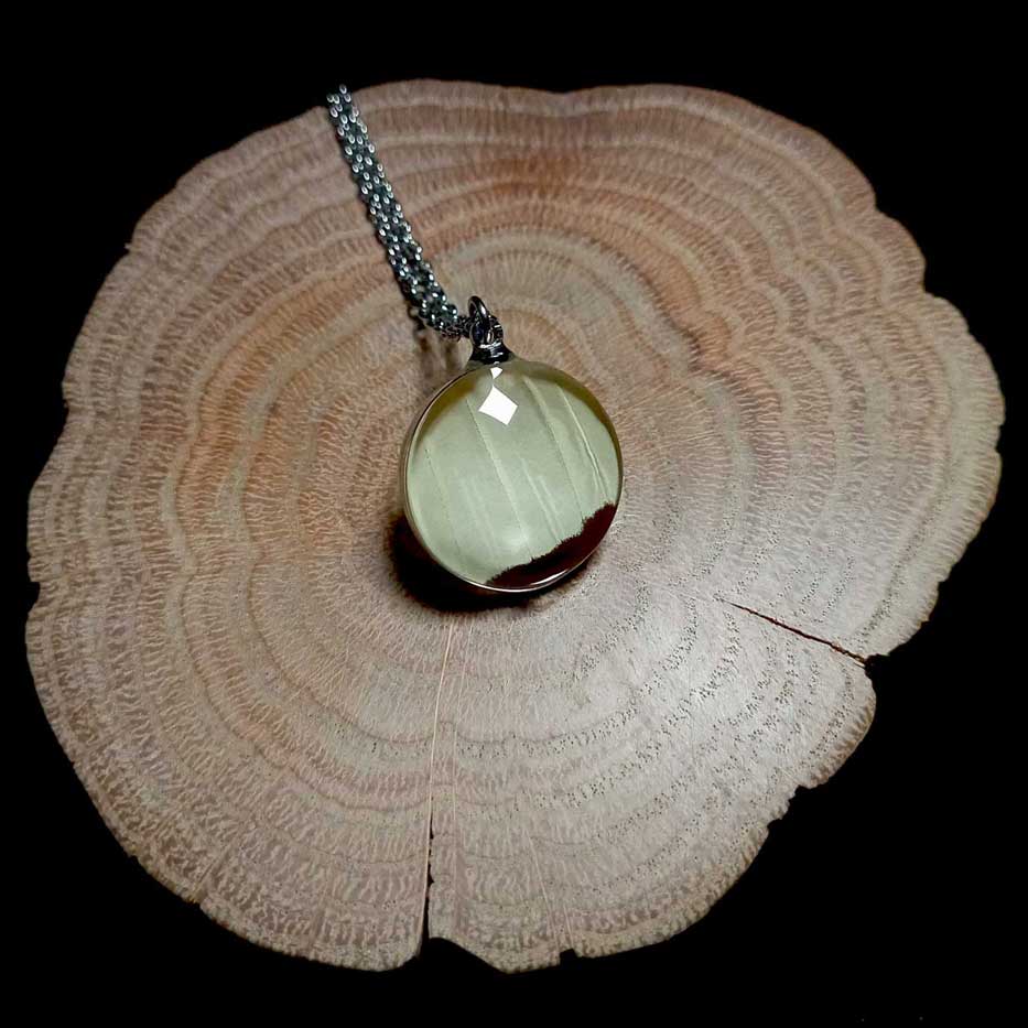 papilio dardanus glass lens butterfly wing necklace