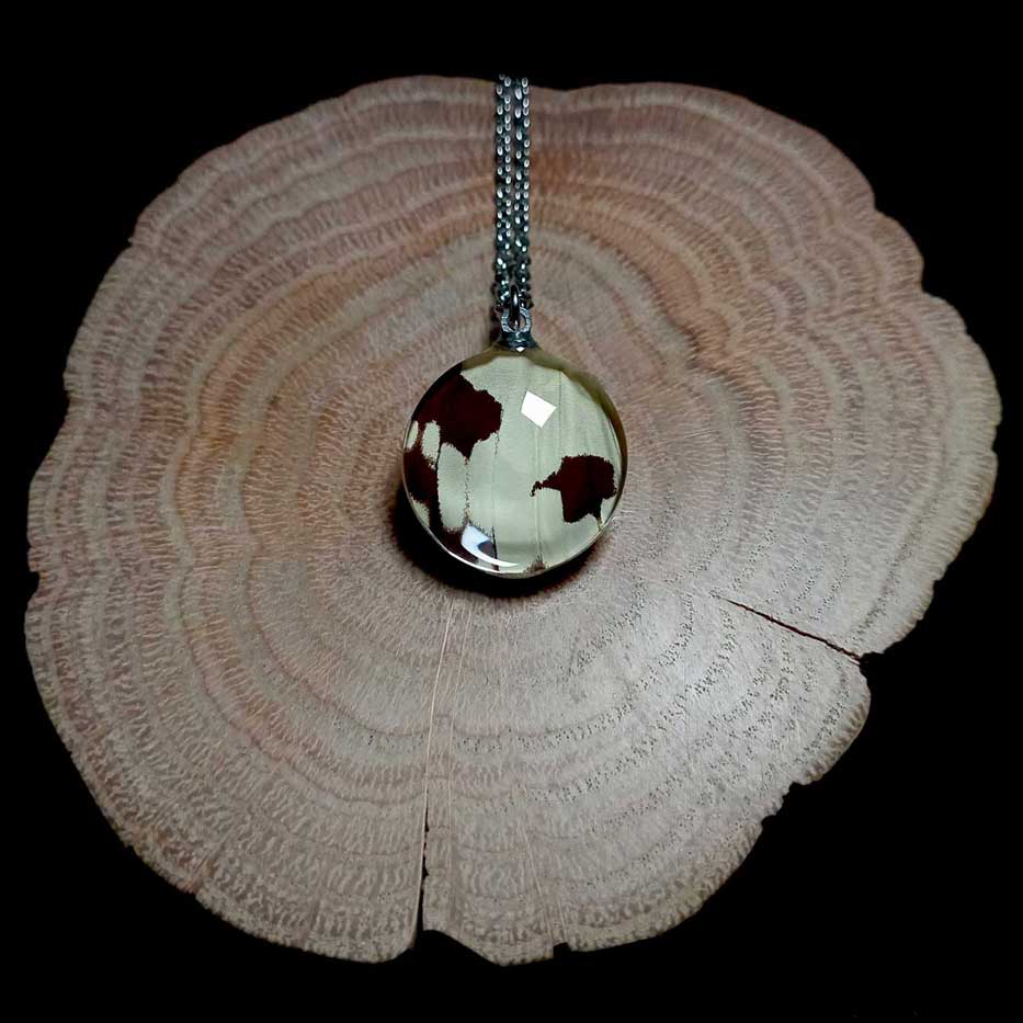 papilio dardanus real butterfly wing necklace