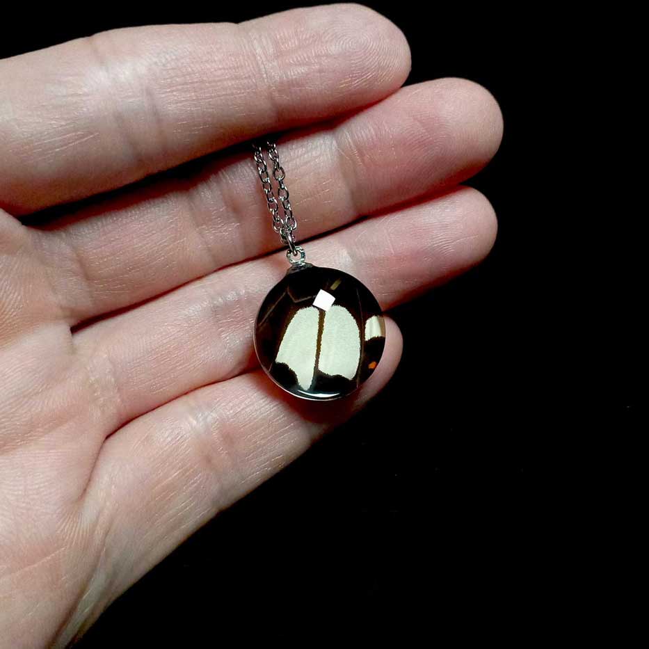 papilio helenus butterfly wing necklace on hand