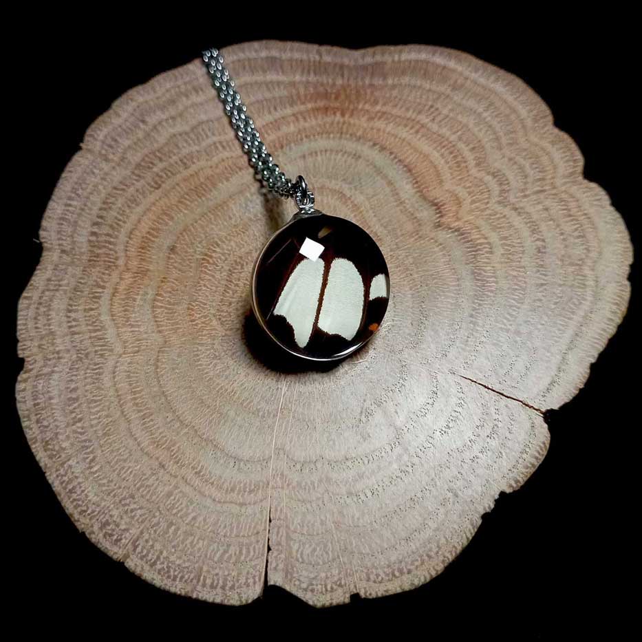 papilio helenus glass lens butterfly wing necklace