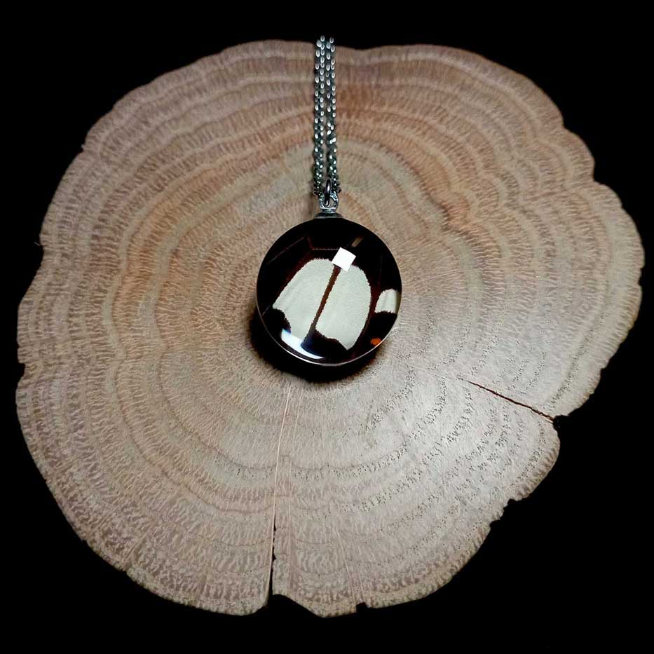 papilio helenus real butterfly wing necklace