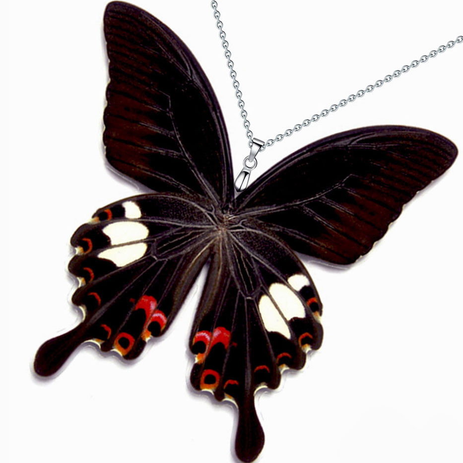 papilio helenus red helen swallowtail butterfly wings