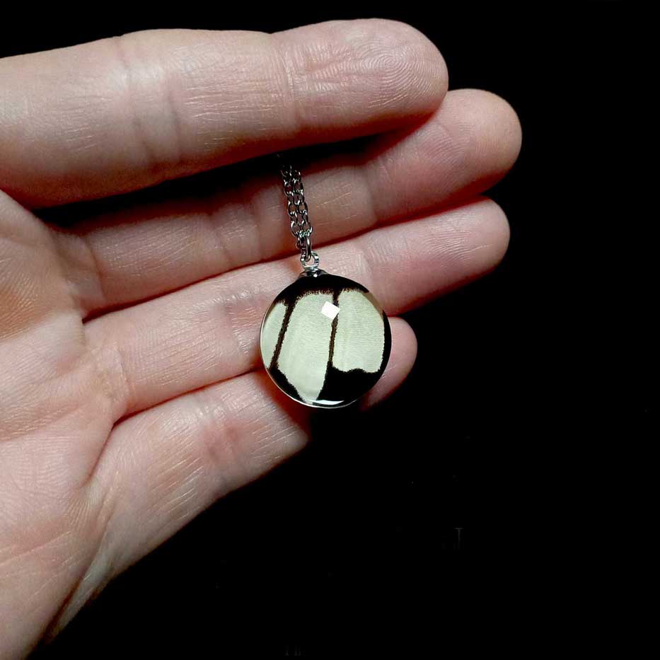papilio iswara butterfly wing necklace on hand