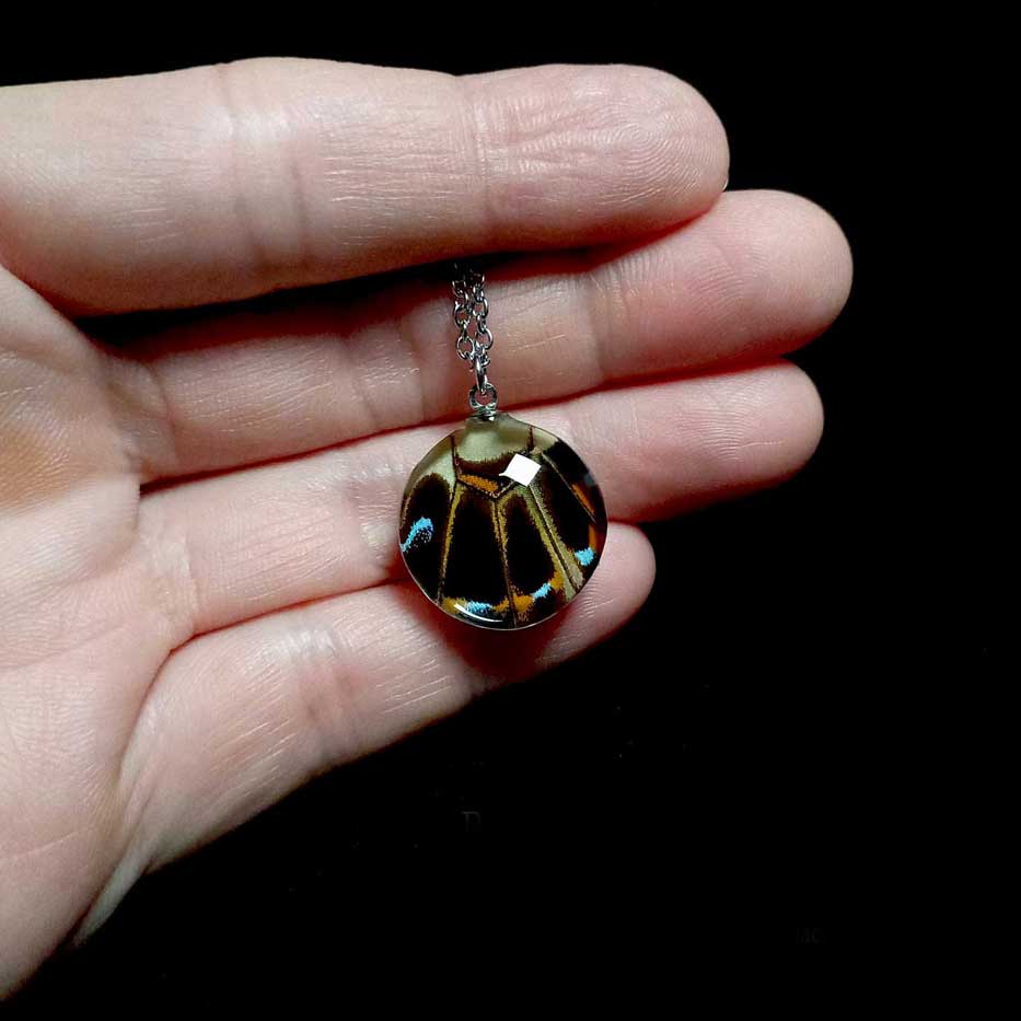 papilio lormieri butterfly wing necklace on hand