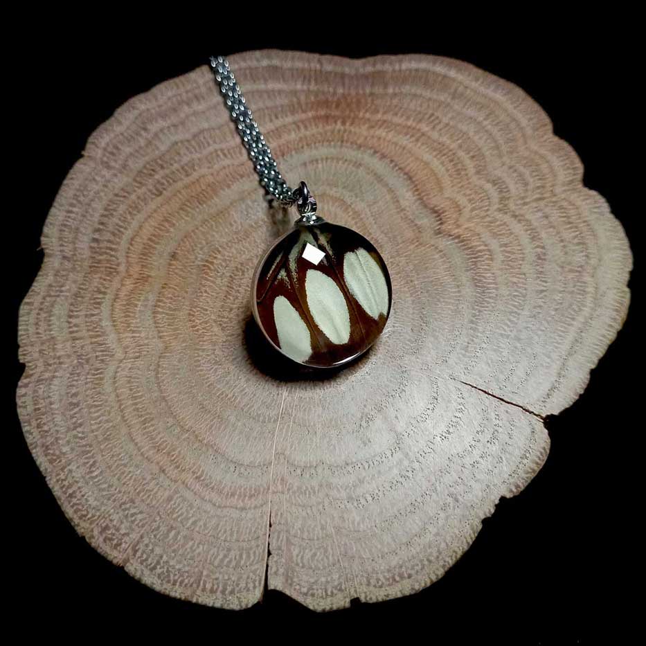 papilio lormieri glass lens butterfly wing necklace