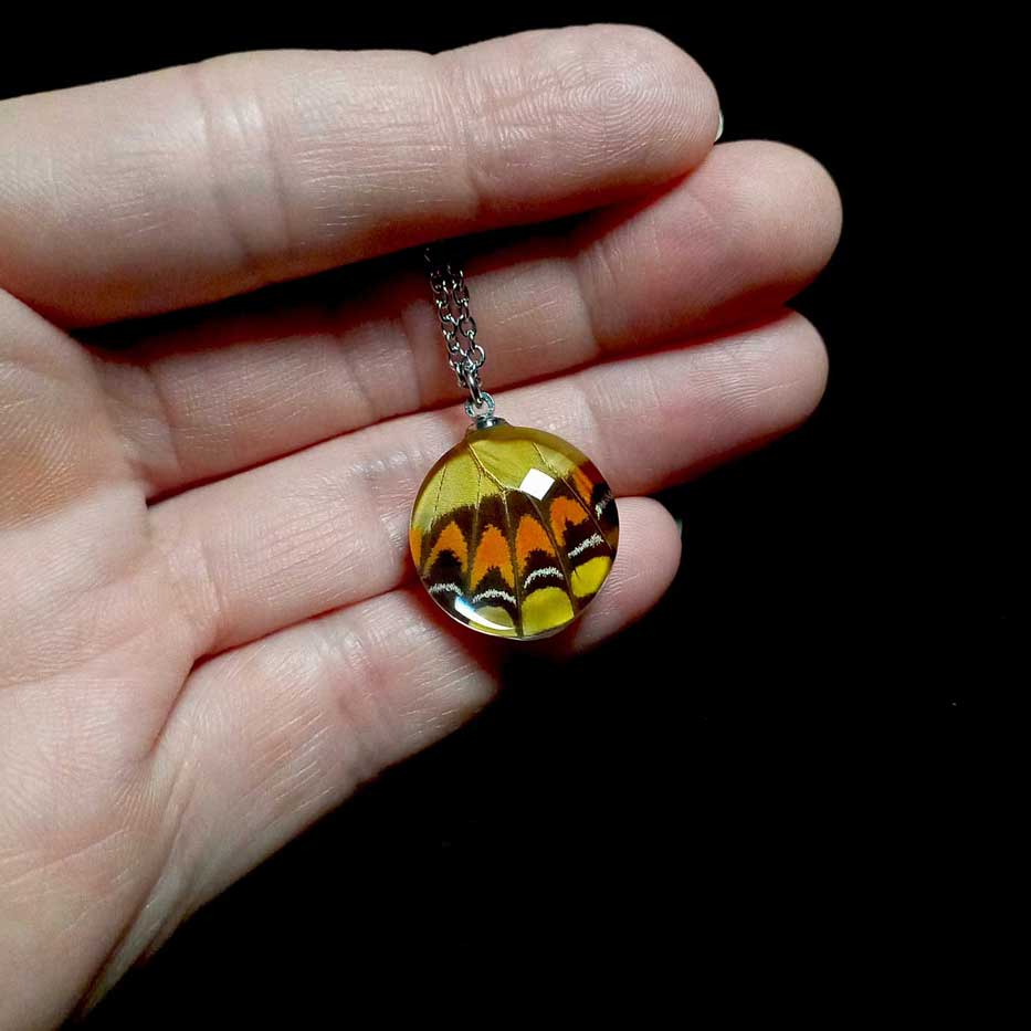 papilio lycophron butterfly wing necklace on hand