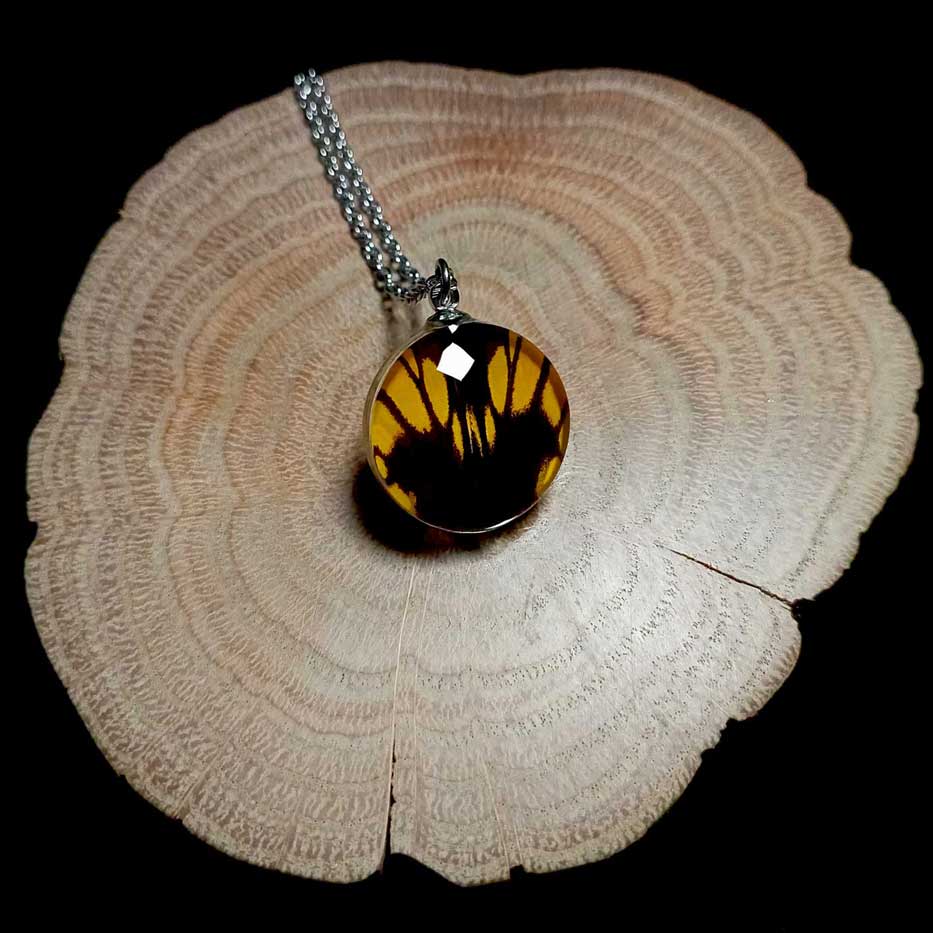 papilio lycophron glass lens butterfly wing necklace