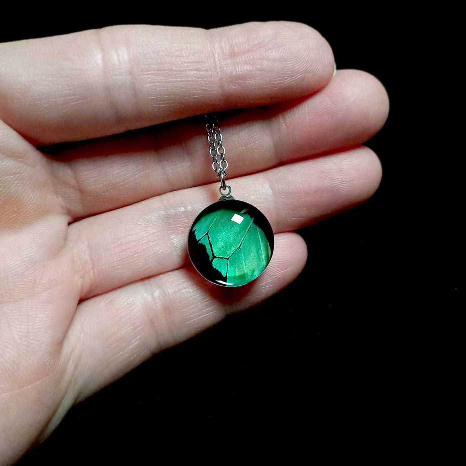 papilio nireus butterfly wing necklace on hand