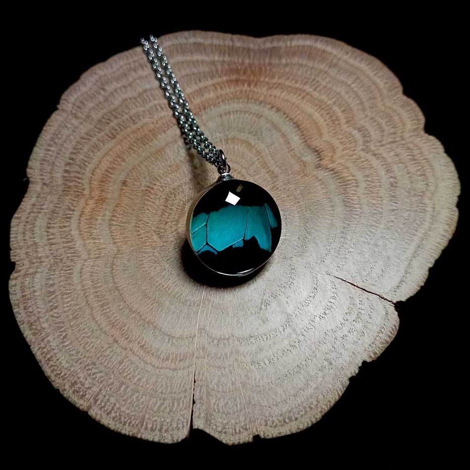 papilio nireus glass lens butterfly wing necklace