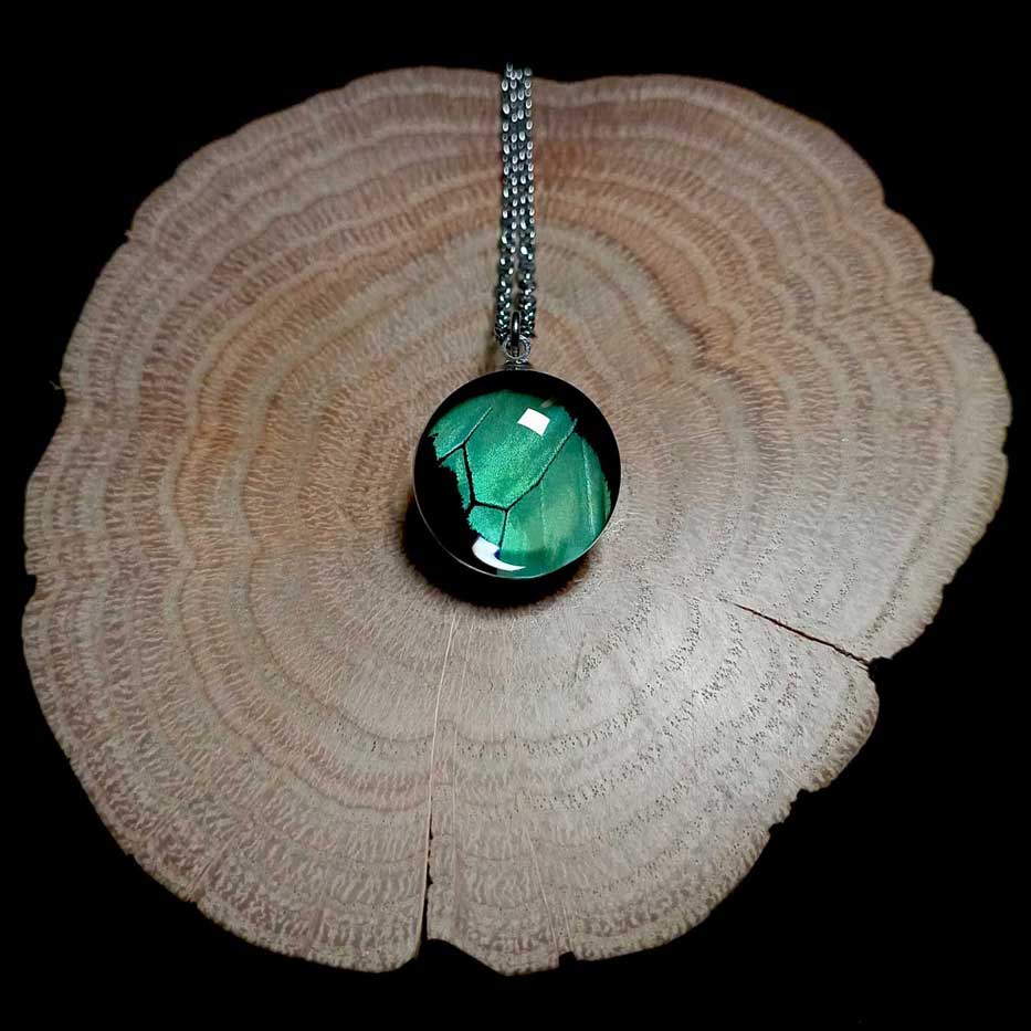 papilio nireus real butterfly wing necklace