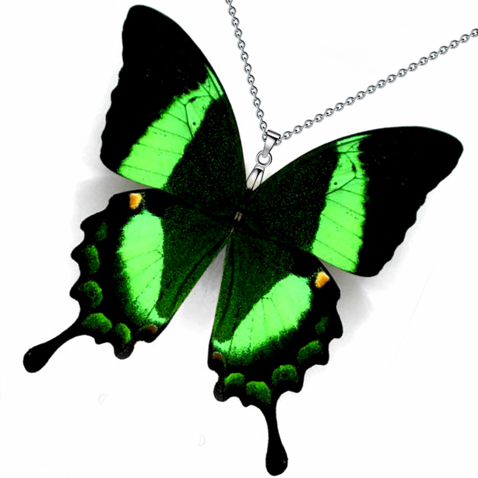 Farfalla Papilio palinurus emerald swallowtail che apre ali verdi iridescenti, farfalla tropicale simile a una gemma naturale di smeraldo