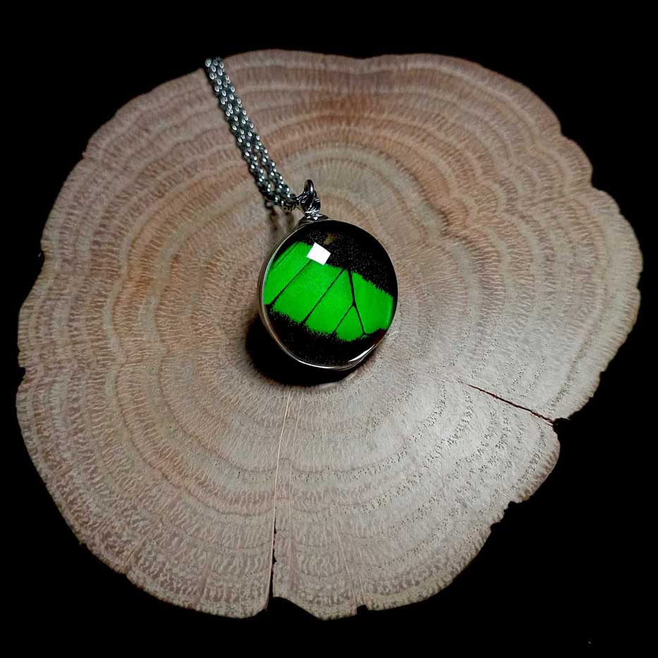 Collana con ala di farfalla Papilio palinurus sotto lente rotonda di vetro che mostra ala verde smeraldo di farfalla