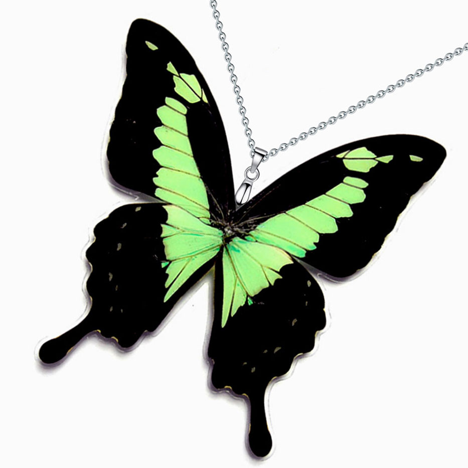 papilio phorcas apple green swallowtail butterfly wings