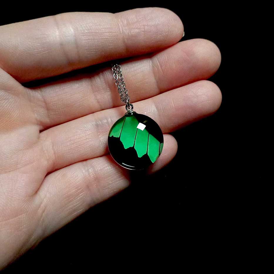 papilio phorcas butterfly wing necklace on hand