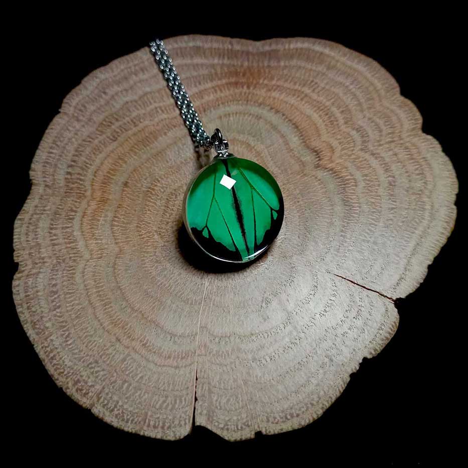 papilio phorcas glass lens butterfly wing necklace
